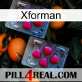 Xforman 14